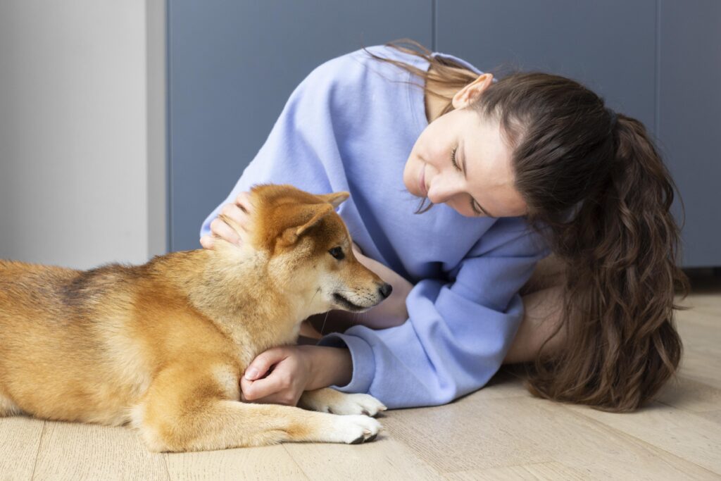 Doggy Day Care - General, Sick And Older Dogs Caring