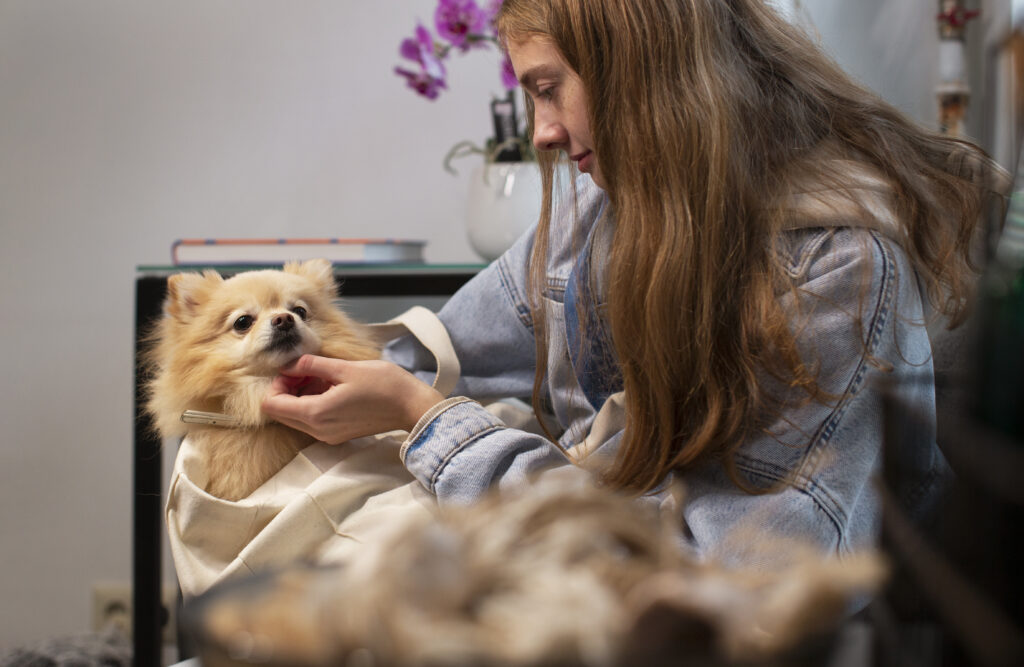 Doggy Day Care