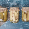 What Are Fermented Foods